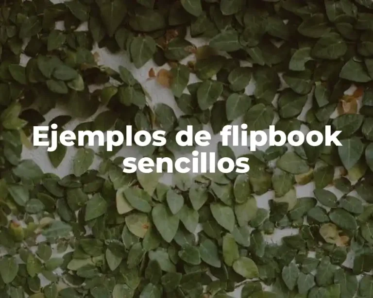 Ejemplos de flipbook sencillos