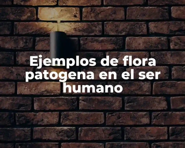 Ejemplos de flora patogena en el ser humano