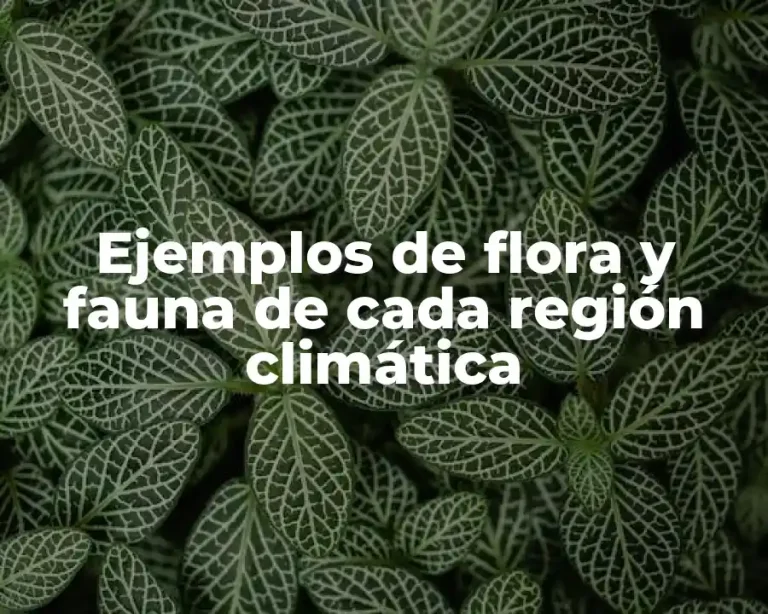 Ejemplos de flora y fauna de cada región climática