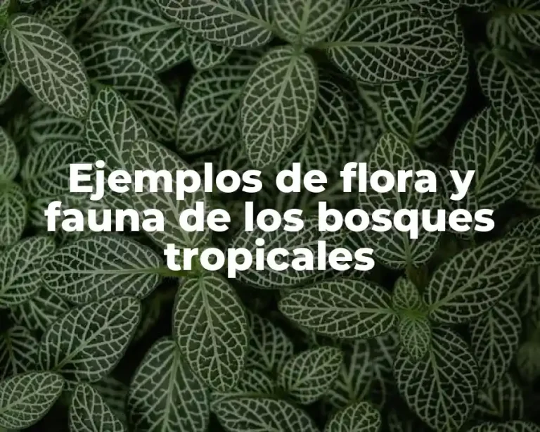 Ejemplos de flora y fauna de los bosques tropicales