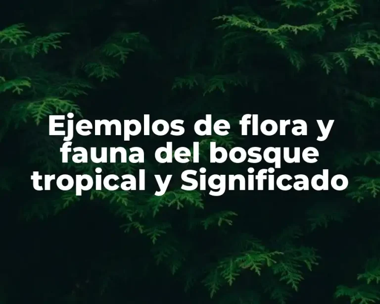 Ejemplos de flora y fauna del bosque tropical y Significado