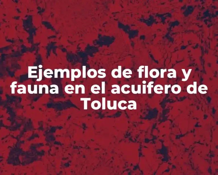 Ejemplos de flora y fauna en el acuifero de Toluca