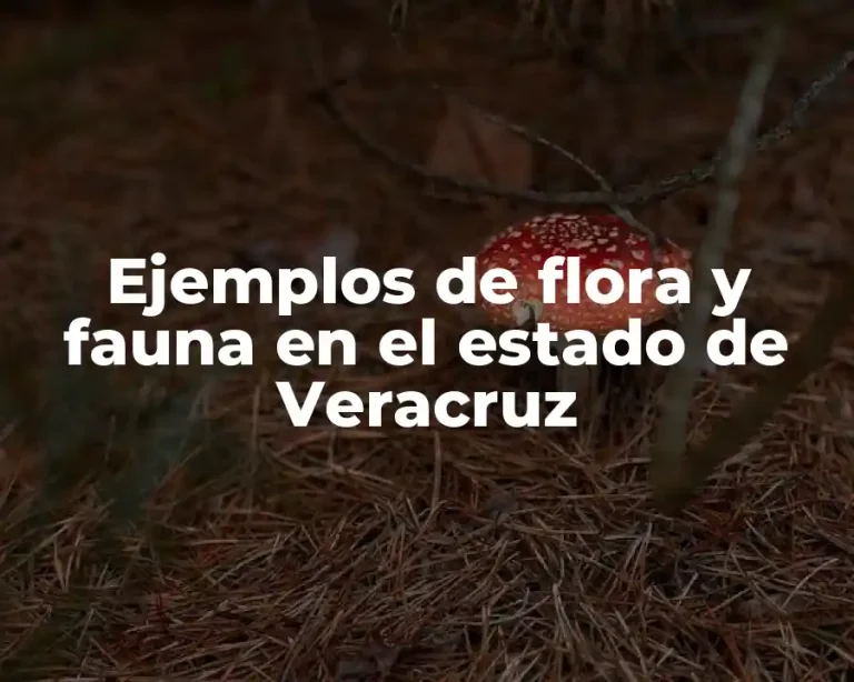 Ejemplos de flora y fauna en el estado de Veracruz