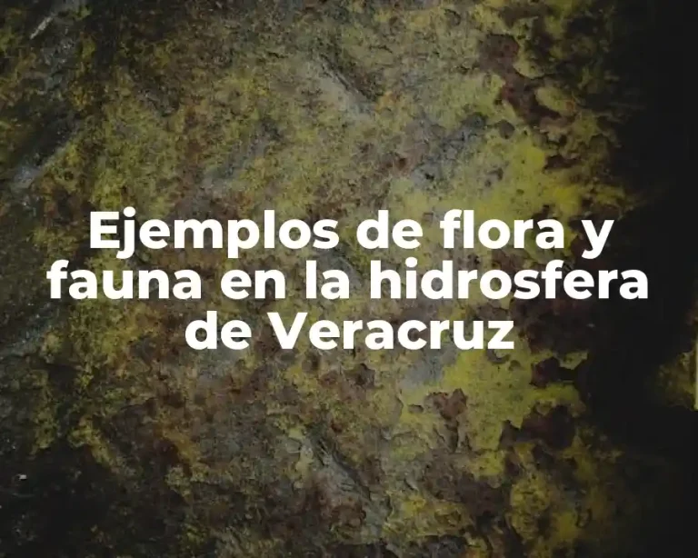 Ejemplos de flora y fauna en la hidrosfera de Veracruz