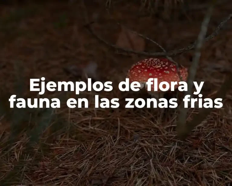 Ejemplos de flora y fauna en las zonas frias
