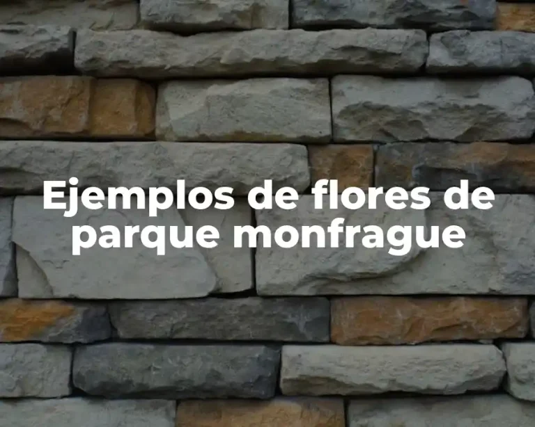 Ejemplos de flores de parque monfrague