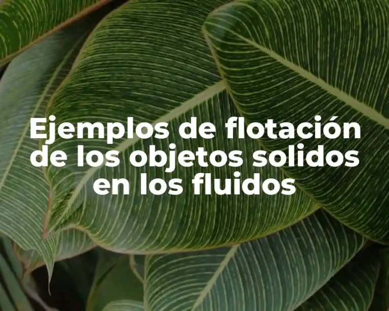 Ejemplos de flotación de los objetos solidos en los fluidos