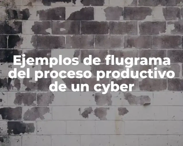 Ejemplos de flugrama del proceso productivo de un cyber
