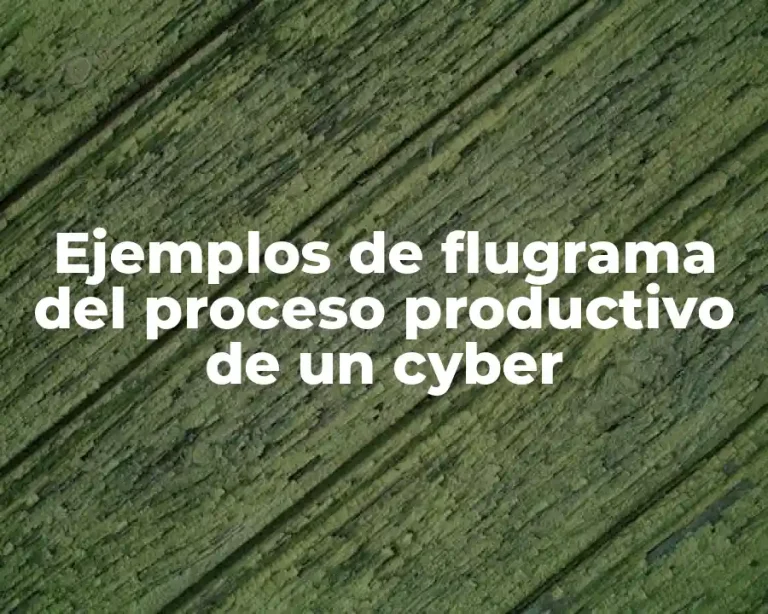Ejemplos de flugrama del proceso productivo de un cyber