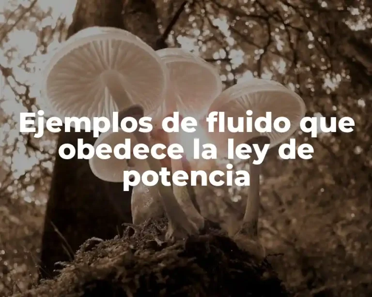 Ejemplos de fluido que obedece la ley de potencia