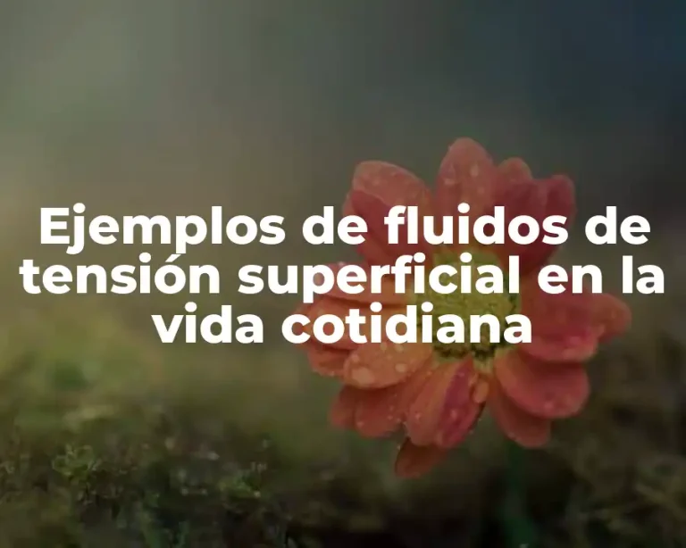 Ejemplos de fluidos de tensión superficial en la vida cotidiana