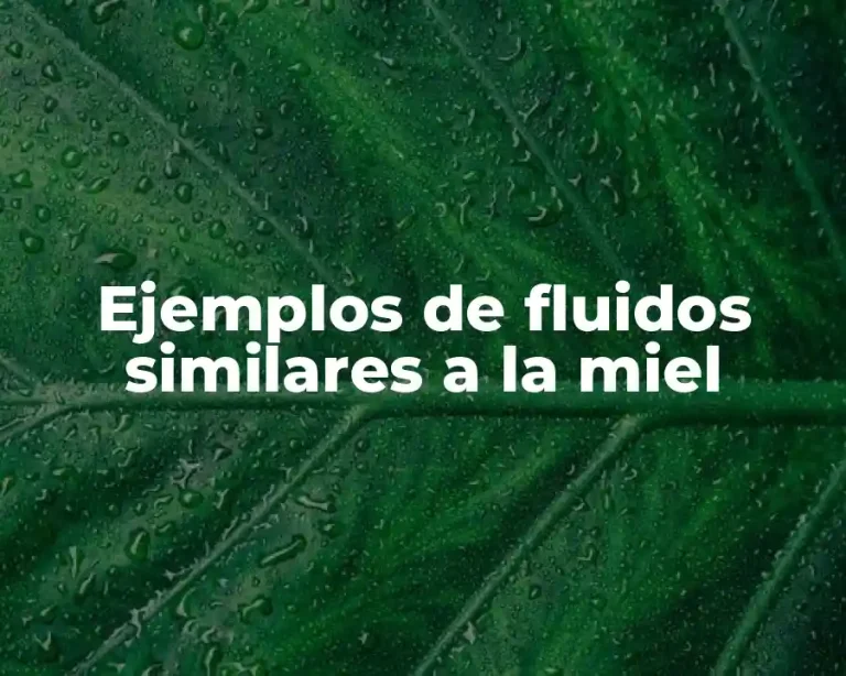 Ejemplos de fluidos similares a la miel