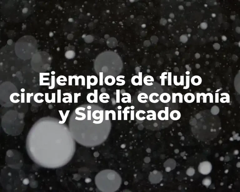 Ejemplos de flujo circular de la economía y Significado