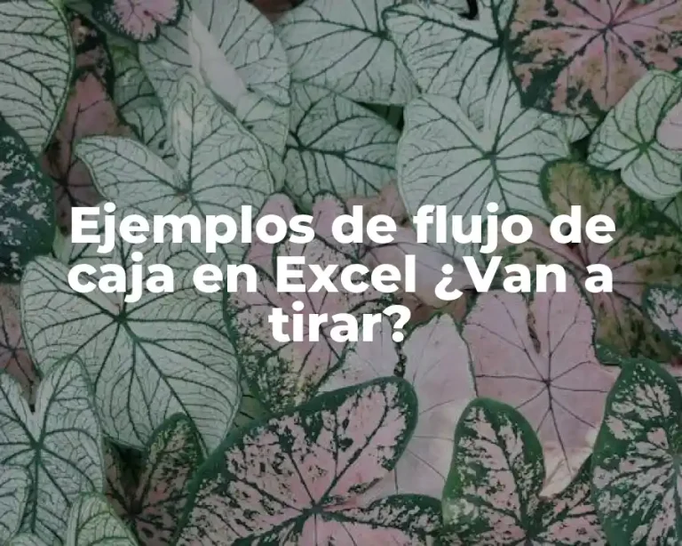 Ejemplos de flujo de caja en Excel ¿Van a tirar?