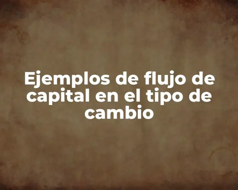 Ejemplos de flujo de capital en el tipo de cambio
