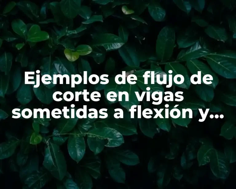 Ejemplos de flujo de corte en vigas sometidas a flexión y Significado