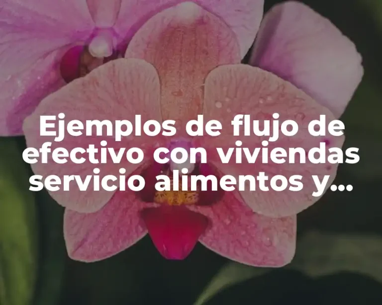 Ejemplos de flujo de efectivo con viviendas servicio alimentos y Significado
