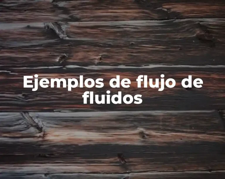 Ejemplos de flujo de fluidos