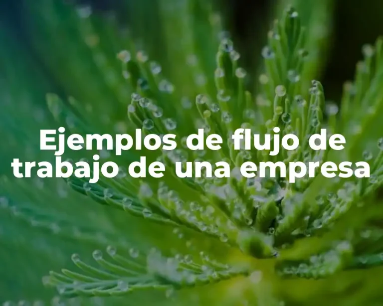 Ejemplos de flujo de trabajo de una empresa