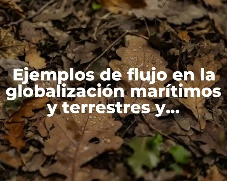 Ejemplos de flujo en la globalización marítimos y terrestres y Significado