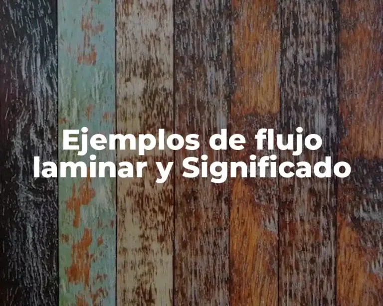 Ejemplos de flujo laminar y Significado