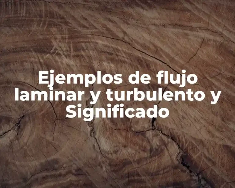 Ejemplos de flujo laminar y turbulento y Significado