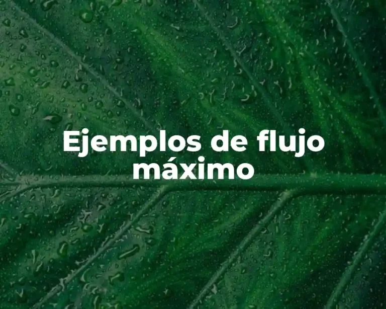 Ejemplos de flujo máximo