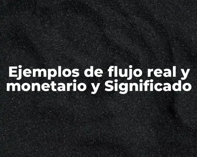 Ejemplos de flujo real y monetario y Significado