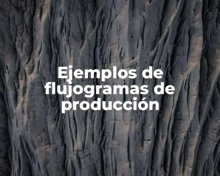 Ejemplos de flujogramas de producción