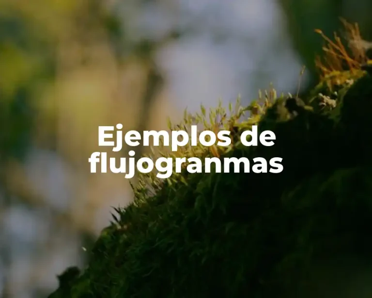 Ejemplos de flujogranmas