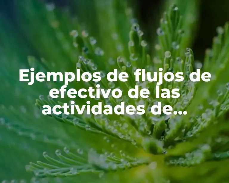 Ejemplos de flujos de efectivo de las actividades de explotación