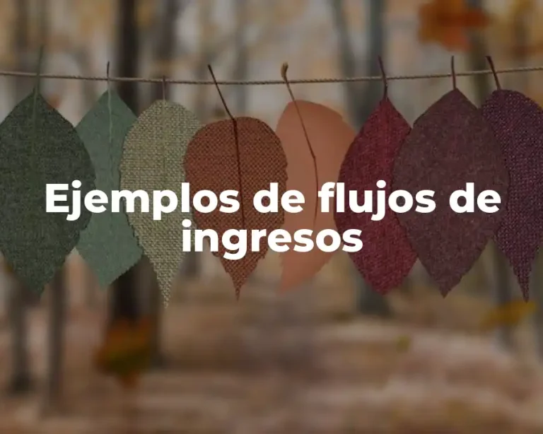 Ejemplos de flujos de ingresos