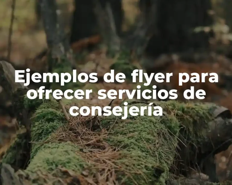 Ejemplos de flyer para ofrecer servicios de consejería