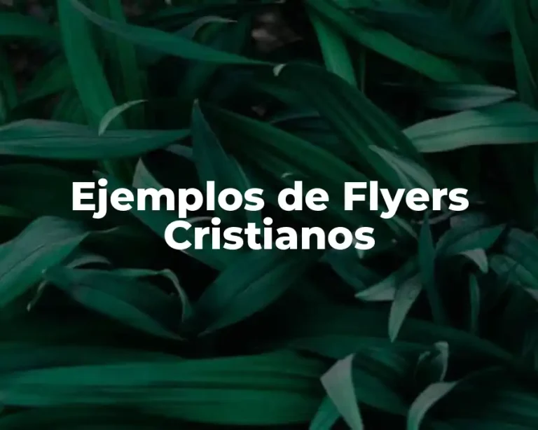 Ejemplos de Flyers Cristianos