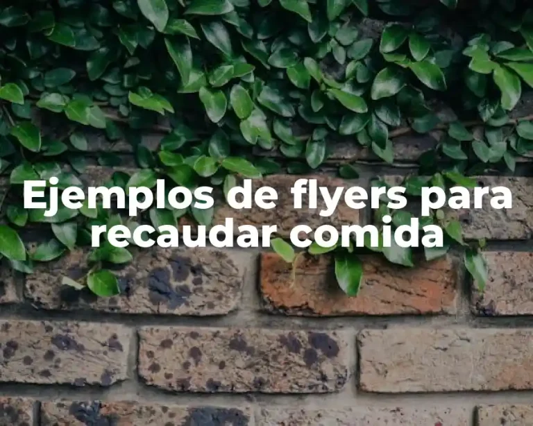 Ejemplos de flyers para recaudar comida