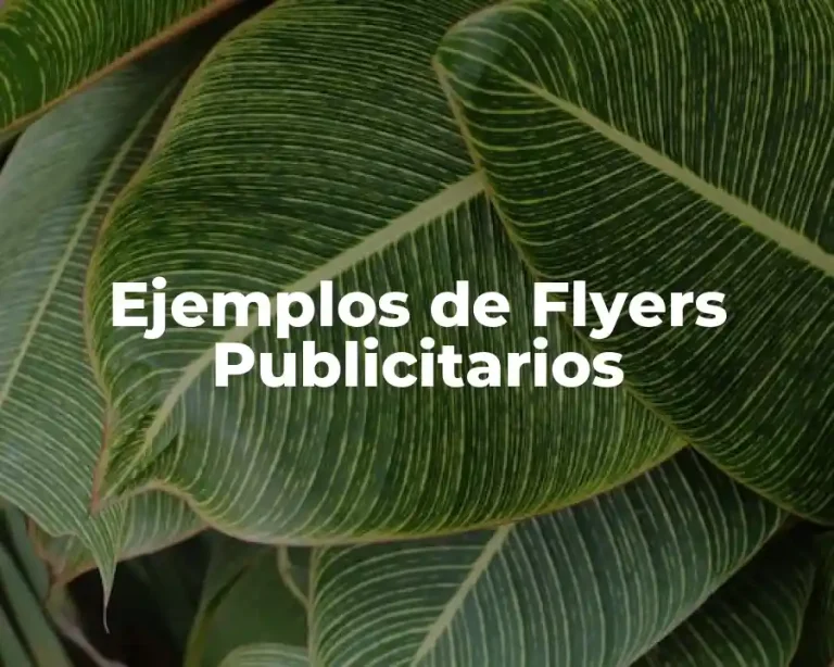 Ejemplos de Flyers Publicitarios