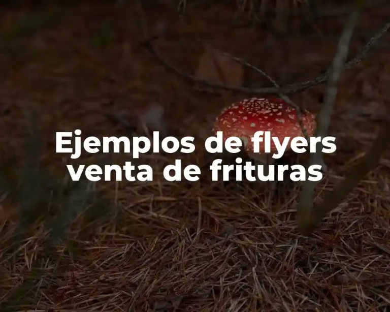 Ejemplos de flyers venta de frituras