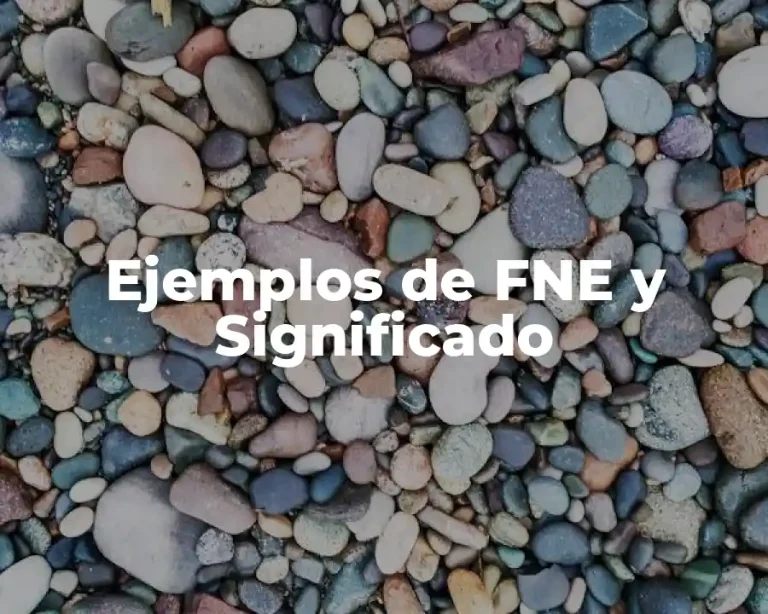 Ejemplos de FNE y Significado
