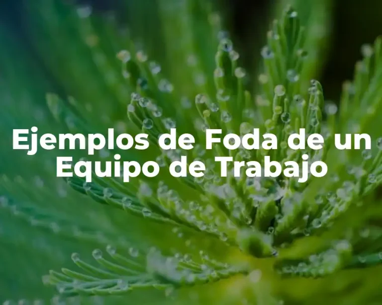 Ejemplos de Foda de un Equipo de Trabajo