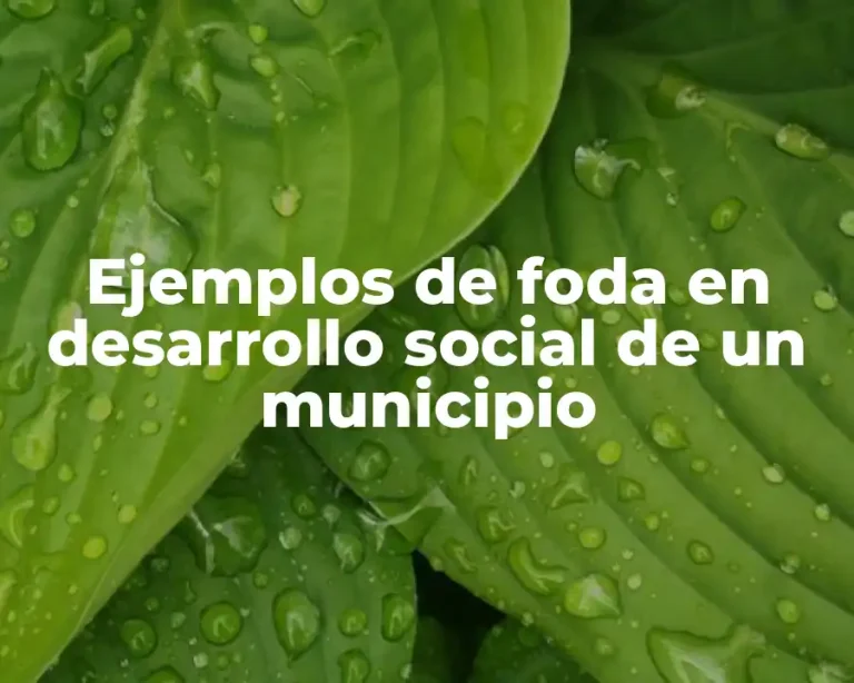 Ejemplos de foda en desarrollo social de un municipio