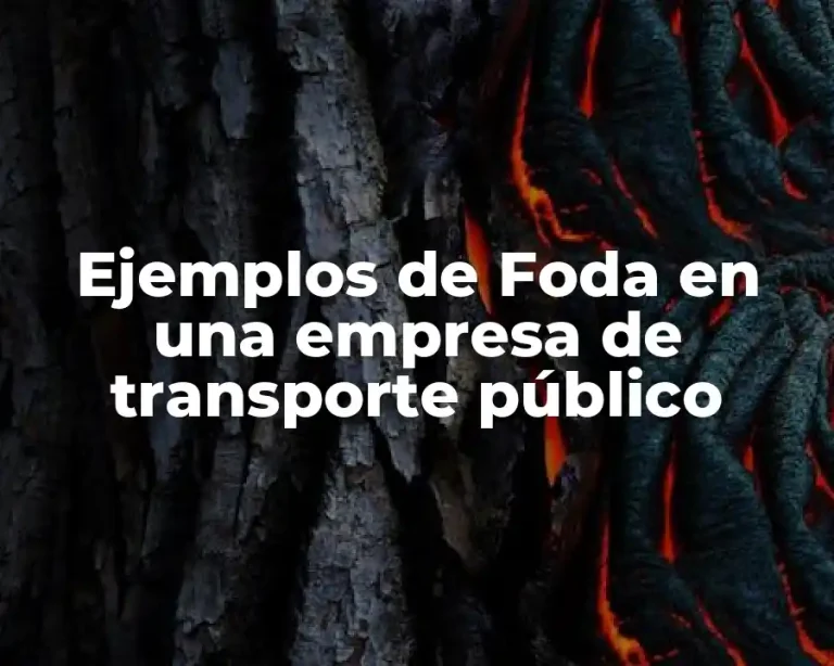 Ejemplos de Foda en una empresa de transporte público