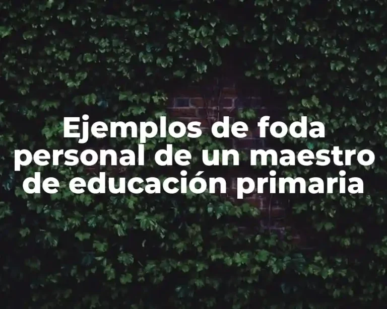 Ejemplos de foda personal de un maestro de educación primaria