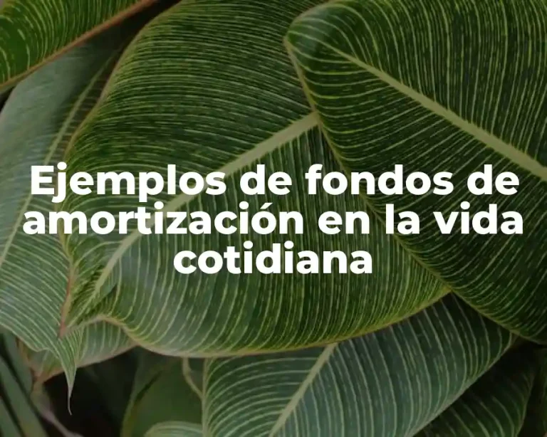 Ejemplos de fondos de amortización en la vida cotidiana
