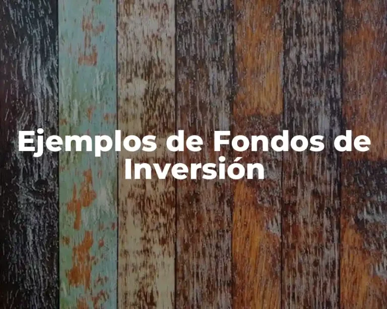 Ejemplos de Fondos de Inversión