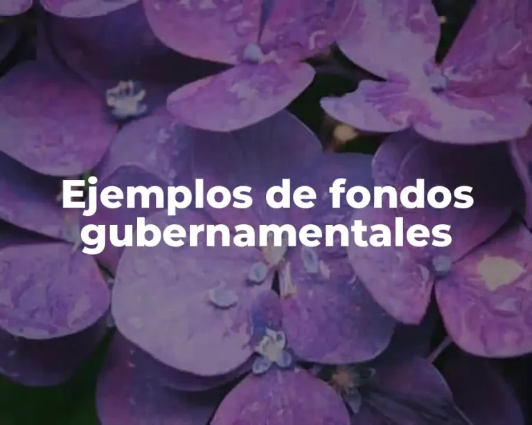 Ejemplos de fondos gubernamentales