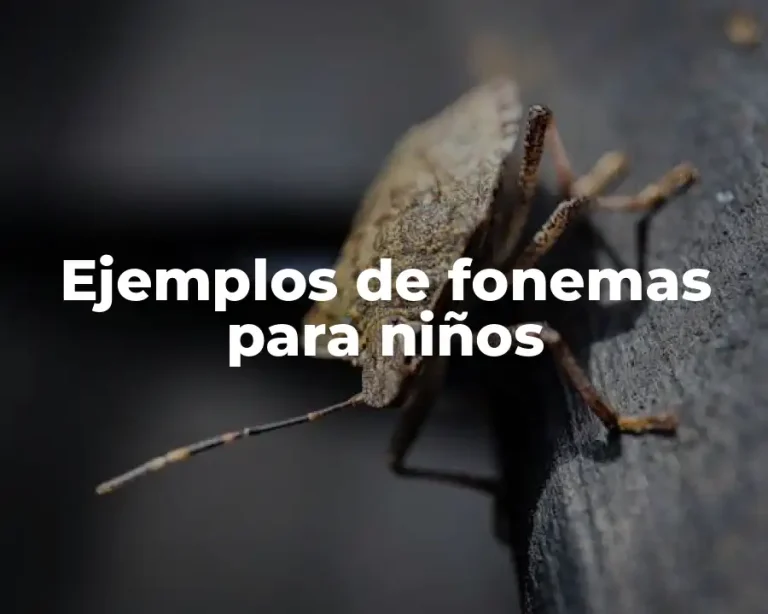 Ejemplos de fonemas para niños
