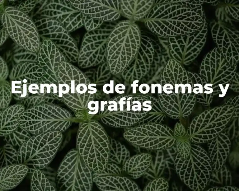 Ejemplos de fonemas y grafías