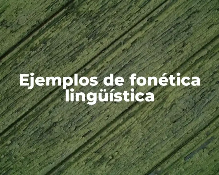 Ejemplos de fonética lingüística