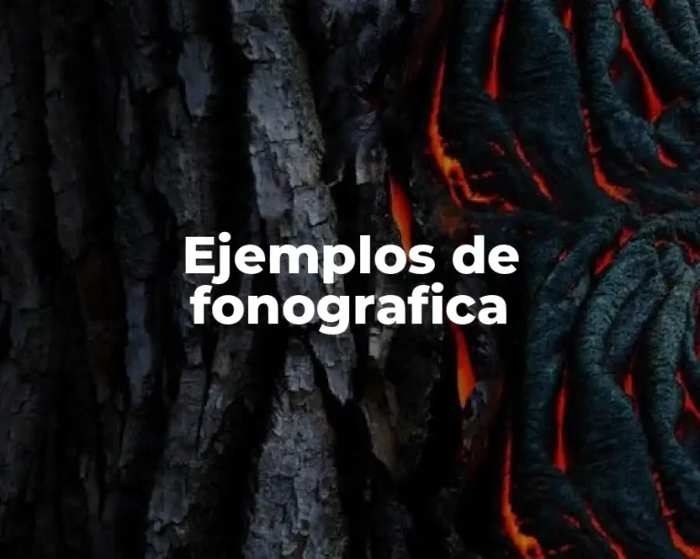 Ejemplos de fonografica