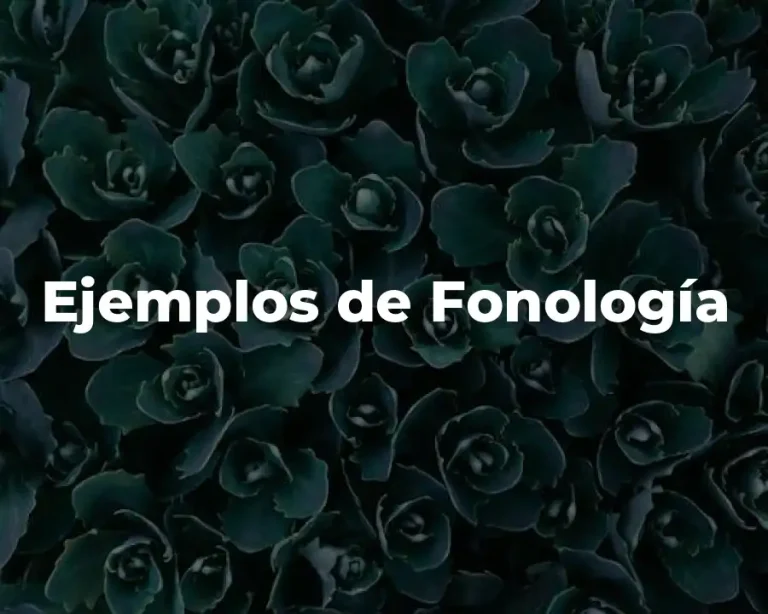Ejemplos de Fonología